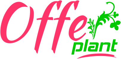 OfferPlant